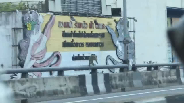 (คลิป) ผงะ! พบ "เจ้าจ๋อ" วิ่งบนสะพานลอยฟ้า