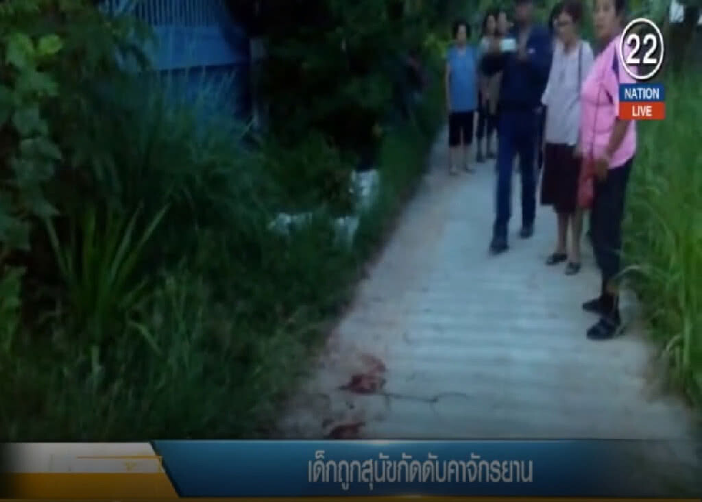 (คลิปข่าว) สลด!....สุนัขรุมกัดเด็กน้อยวัย 4 ขวบดับคาจักรยาน (คลิปข่าว) สลด!....สุนัขรุมกัดเด็กน้อยวัย 4 ขวบดับคาจักรยาน