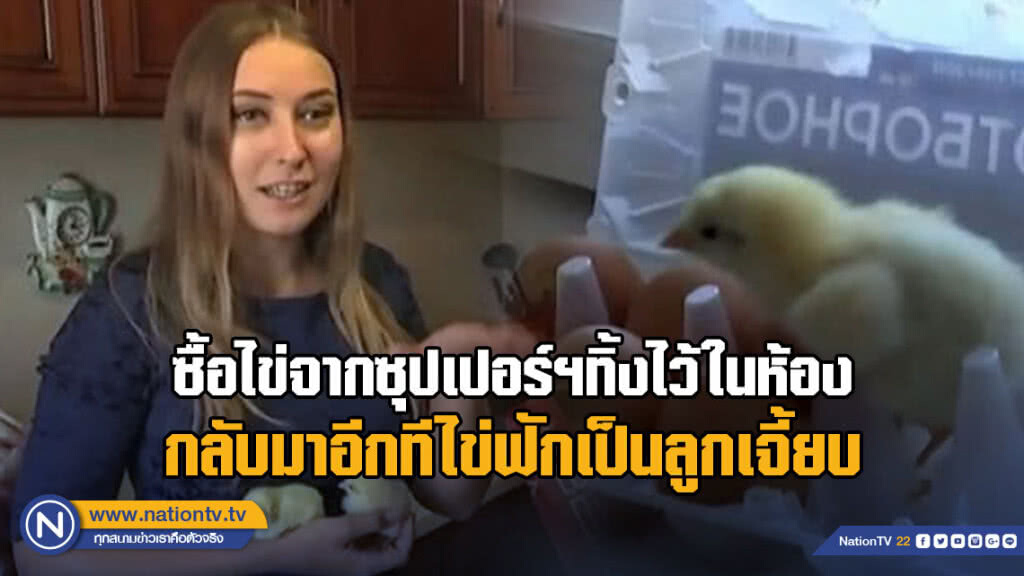 ก็เป็นไปได้! ซื้อไข่จากซุปเปอร์ฯทิ้งไว้ในห้อง กลับมาอีกทีไข่ฟักเป็นลูกเจี้ยบ