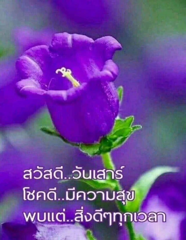 แง้มหัวใจลุง-ป้า "ไลน์" สวัสดีทุกเช้า