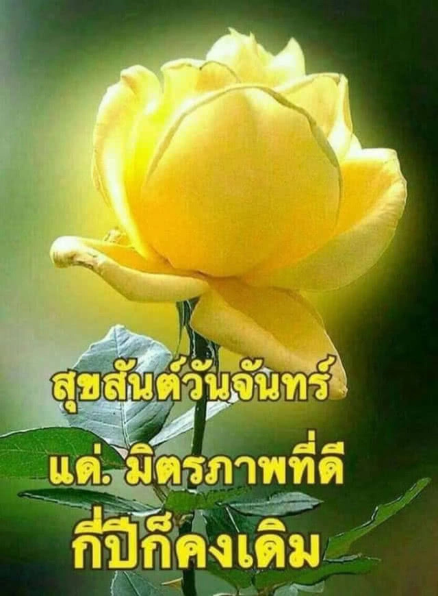 แง้มหัวใจลุง-ป้า "ไลน์" สวัสดีทุกเช้า