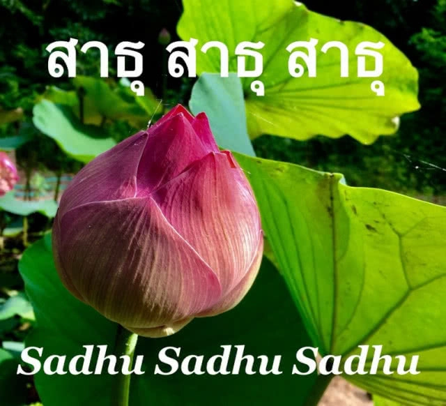 แง้มหัวใจลุง-ป้า "ไลน์" สวัสดีทุกเช้า