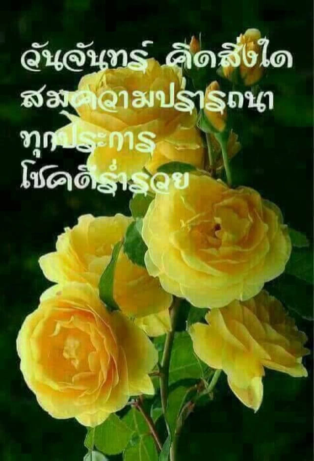 แง้มหัวใจลุง-ป้า "ไลน์" สวัสดีทุกเช้า