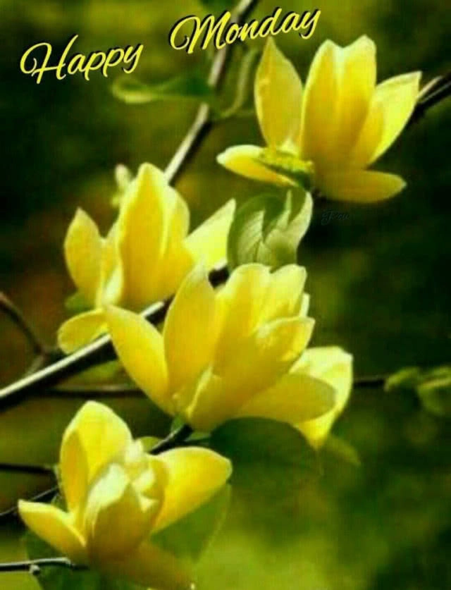 แง้มหัวใจลุง-ป้า "ไลน์" สวัสดีทุกเช้า