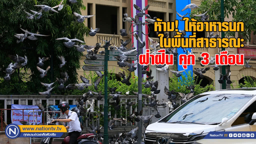 ห้าม! ให้อาหารนกในพื้นที่สาธารณะ ฝ่าฝืน คุก 3 เดือน ห้าม! ให้อาหารนกในพื้นที่สาธารณะ ฝ่าฝืน คุก 3 เดือน