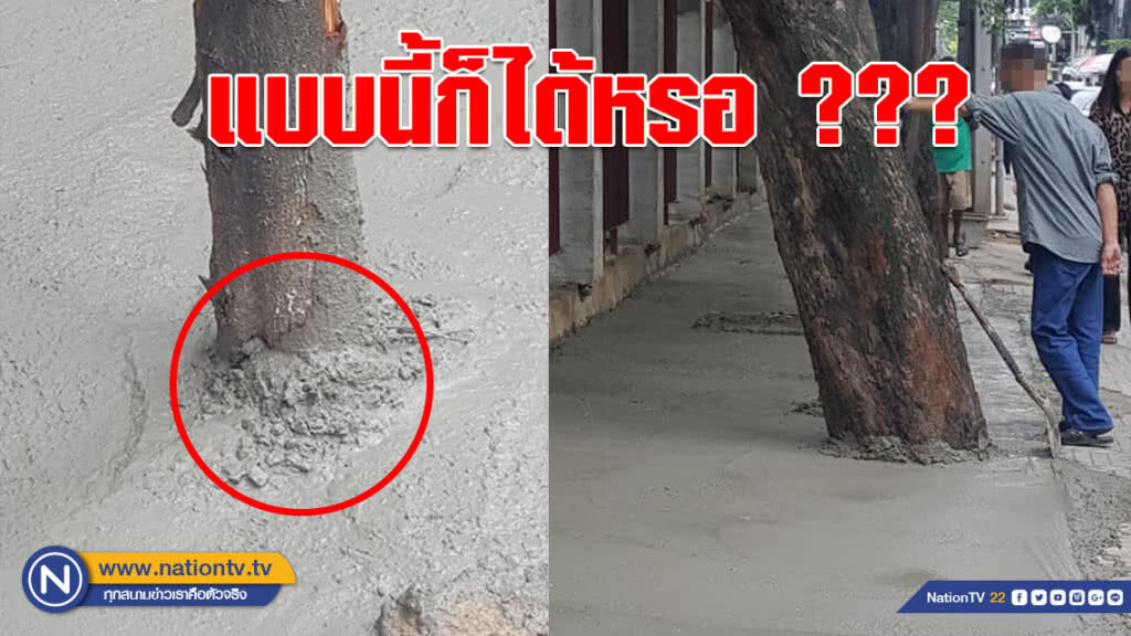 โซเชียลวิจารณ์ยับ!!! (ภาพ)ช่างรับเหมาสุดชุ่ย เทปูนทับต้นไม้บนฟุตปาธ โซเชียลวิจารณ์ยับ!!! (ภาพ)ช่างรับเหมาสุดชุ่ย เทปูนทับต้นไม้บนฟุตปาธ