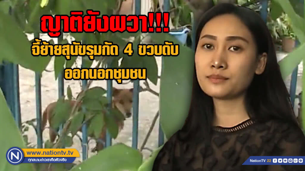 ญาติยังผวา!!! จี้ย้ายกลุ่มสุนัขรุมกัด 4 ขวบดับออกนอกชุมชน โอดพรบ.คุ้มครองหมามากกว่าคนอีก