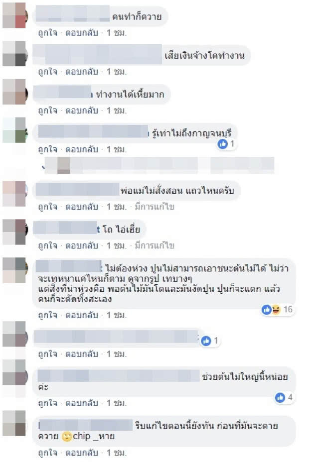 โซเชียลวิจารณ์ยับ!!! (ภาพ)ช่างรับเหมาสุดชุ่ย เทปูนทับต้นไม้บนฟุตปาธ