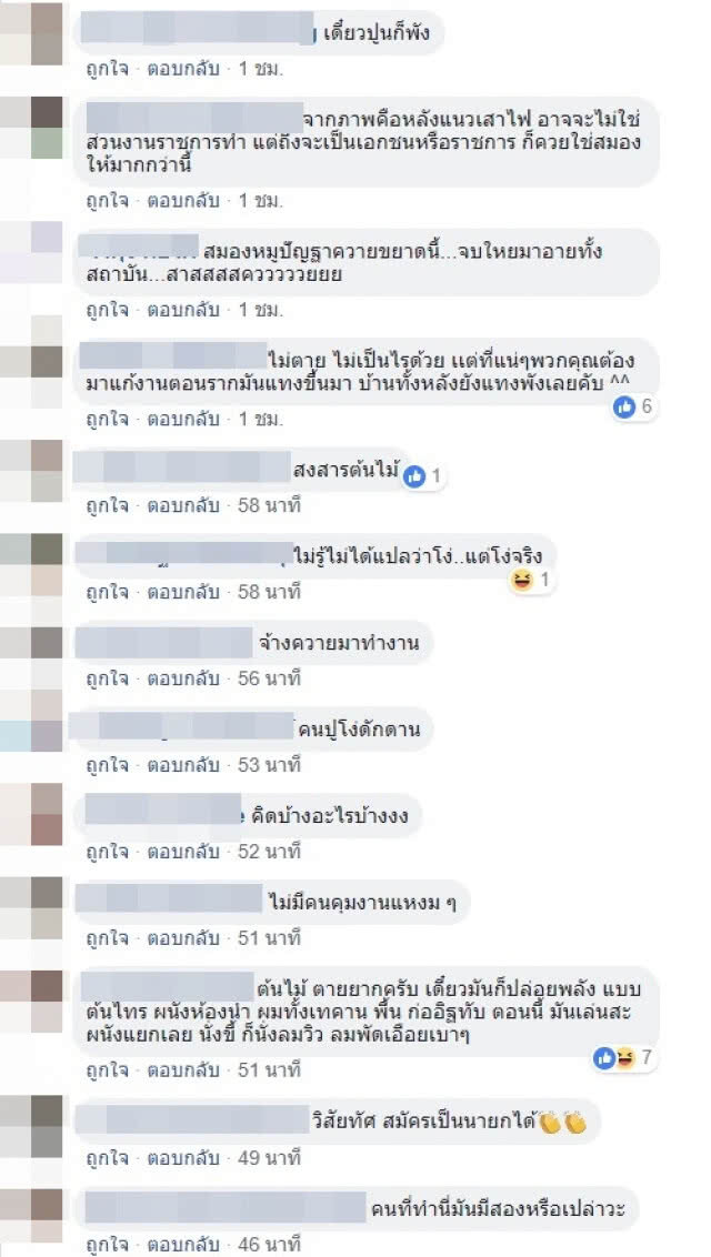 โซเชียลวิจารณ์ยับ!!! (ภาพ)ช่างรับเหมาสุดชุ่ย เทปูนทับต้นไม้บนฟุตปาธ