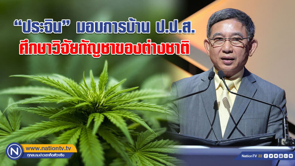"ประจิน" มอบการบ้าน ป.ป.ส. ศึกษาข้อมูลต่างชาติ วิจัยกัญชาทางการแพทย์