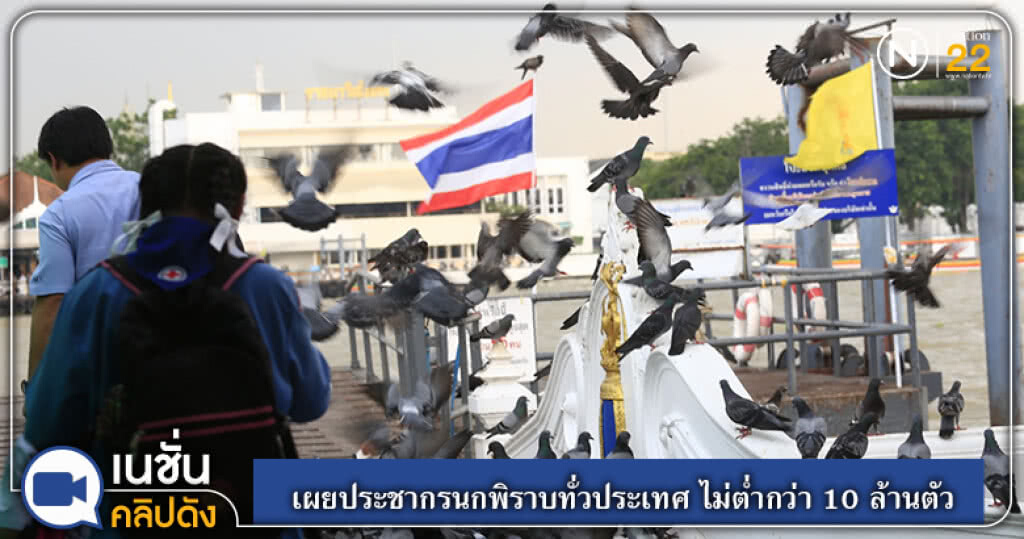 (คลิปข่าว) เผยประชากรนกพิราบทั่วประเทศ ไม่ต่ำกว่า 10 ล้านตัว (คลิปข่าว) เผยประชากรนกพิราบทั่วประเทศ ไม่ต่ำกว่า 10 ล้านตัว