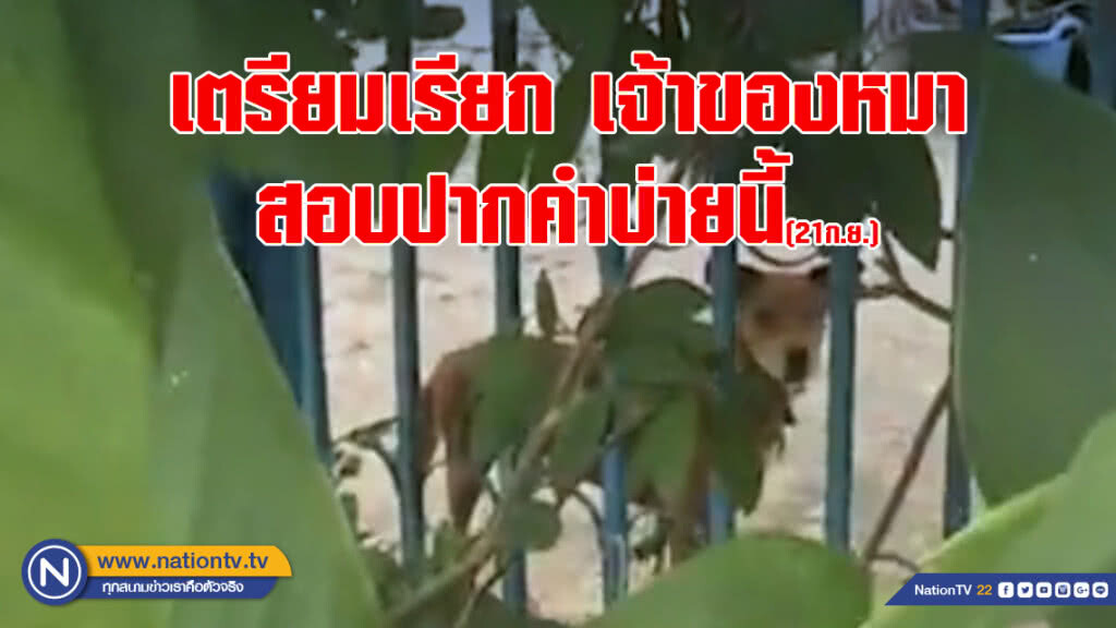 เตรียมเรียกเจ้าของหมาสอบปากคำบ่ายนี้