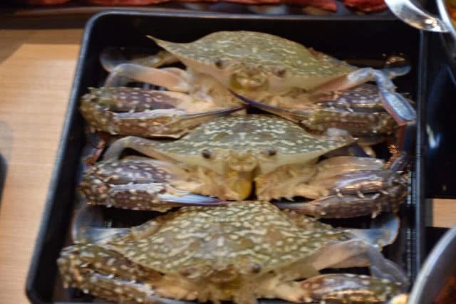 อร่อยปักหมุด : You & I Premium Suki Buffet  วัตถุดิบชั้นเลิศกับโปร ปูม้าไม่อั้นถึงสิ้นเดือนตุลานี้