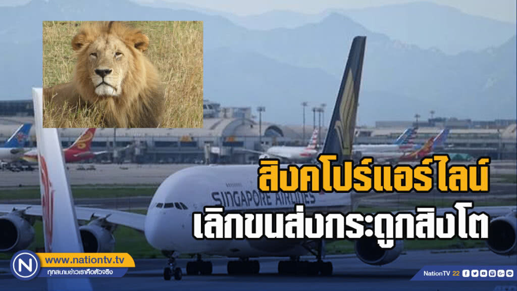 สิงคโปร์แอร์ไลน์เลิกขนส่งกระดูกสิงโต
