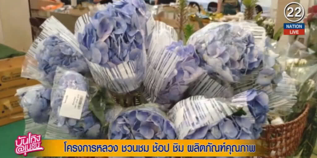 (คลิปข่าว) โครงการหลวง ชวนชม ช้อป ชิม ผลิตภัณฑ์คุณภาพ (คลิปข่าว) โครงการหลวง ชวนชม ช้อป ชิม ผลิตภัณฑ์คุณภาพ