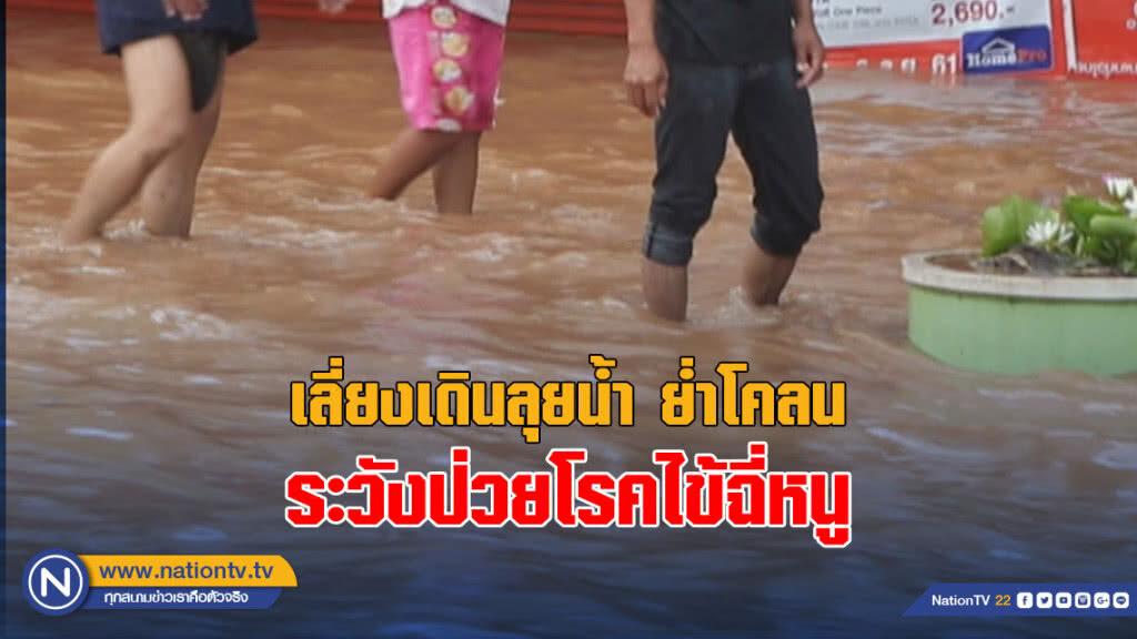เตือนเลี่ยงการเดินลุยน้ำ ย่ำโคลน ระวังป่วยโรคไข้ฉี่หนู
