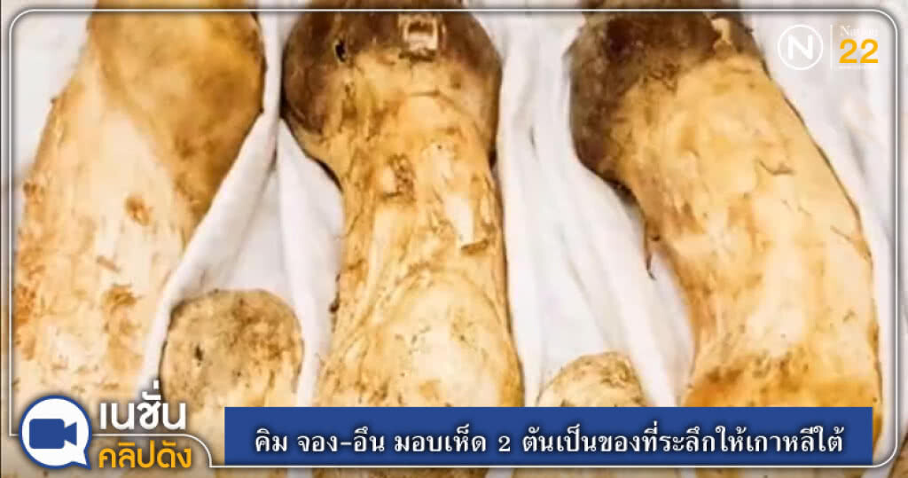 (คลิปข่าว) คิม จอง-อึน ทำเซอร์ไพรส์ มอบเห็ด 2 ตันเป็นของที่ระลึกให้เกาหลีใต้ (คลิปข่าว) คิม จอง-อึน ทำเซอร์ไพรส์ มอบเห็ด 2 ตันเป็นของที่ระลึกให้เกาหลีใต้
