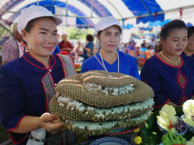 หนึ่งเดียวในโลก!!! เทศกาลกินต่อหัวเสือ