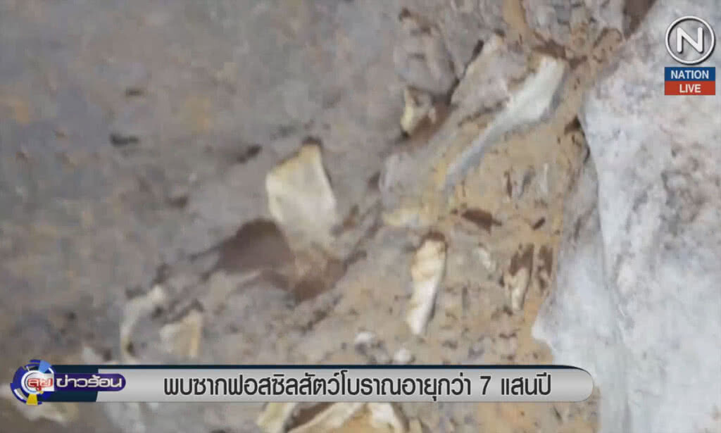 (คลิปข่าว) พบซากฟอสซิลสัตว์โบราณอายุกว่า 7 แสนปีที่กระบี่ (คลิปข่าว) พบซากฟอสซิลสัตว์โบราณอายุกว่า 7 แสนปีที่กระบี่