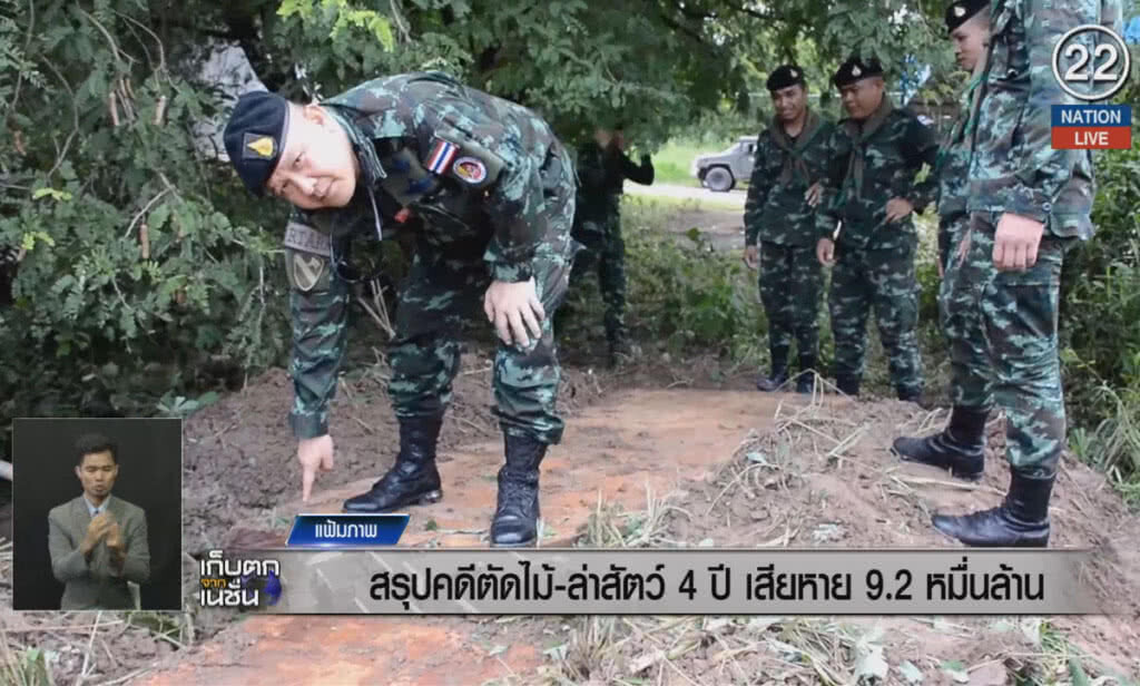 (คลิปข่าว) สรุปคดีตัดไม้-ล่าสัตว์ 4 ปีเสียหาย 9.2 หมื่นล้าน (คลิปข่าว) สรุปคดีตัดไม้-ล่าสัตว์ 4 ปีเสียหาย 9.2 หมื่นล้าน