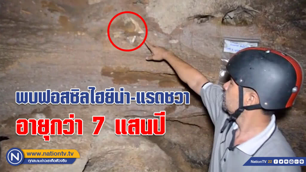 (คลิป) พบฟอสซิลไฮยีน่า-แรดชวา อายุกว่า 7 แสนปี ในถ้ำ จ.กระบี่
