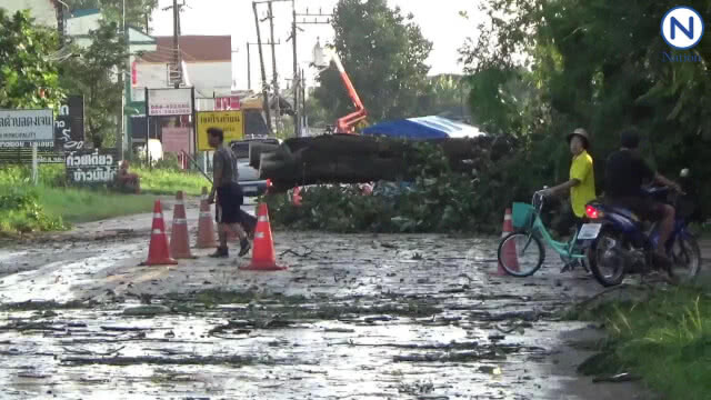 พะเยาอ่วมโดนพายุฝนกระหน่ำบ้านพัง-ต้นไม้หักโค่น