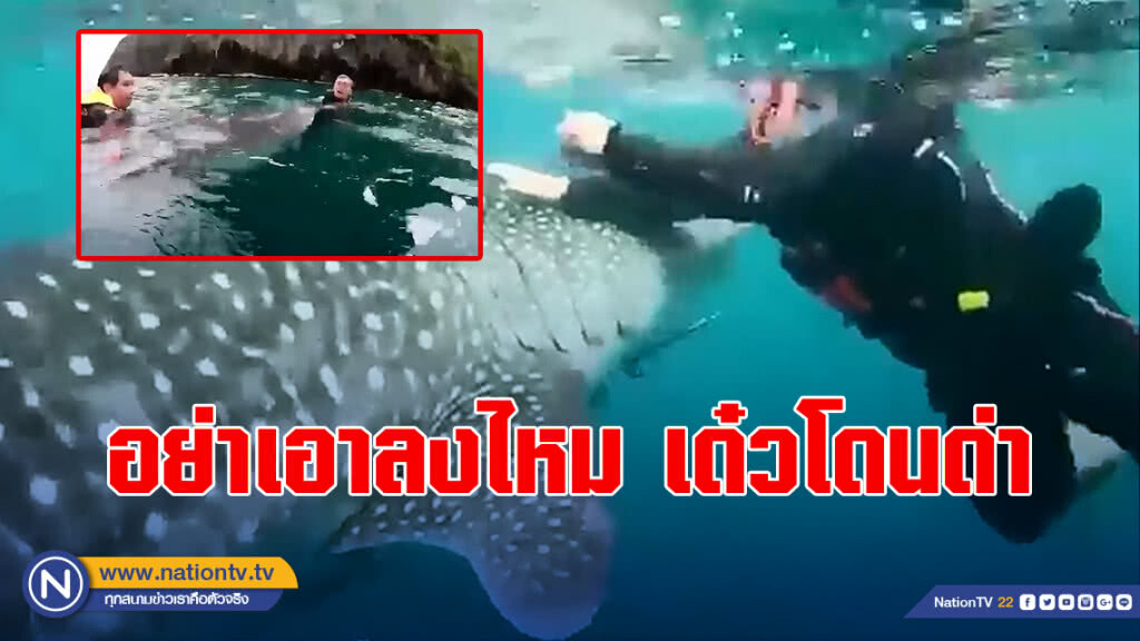 โซเชียลรุมจวก! แก๊งเจ็ตสกีขี่หลังฉลามวาฬ บอก "อย่าเอาไปลง เดี๋ยวโดนด่า" โซเชียลรุมจวก! แก๊งเจ็ตสกีขี่หลังฉลามวาฬ บอก "อย่าเอาไปลง เดี๋ยวโดนด่า"