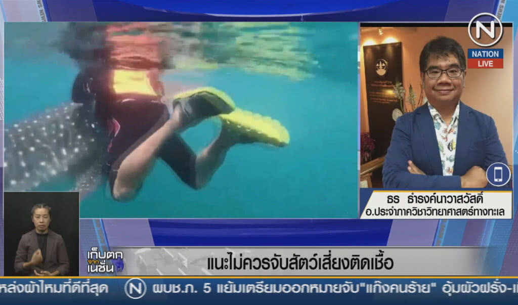 (คลิปข่าว) นักเจ็ตสกีขี่หลัง "ฉลามวาฬ" (คลิปข่าว) นักเจ็ตสกีขี่หลัง "ฉลามวาฬ"