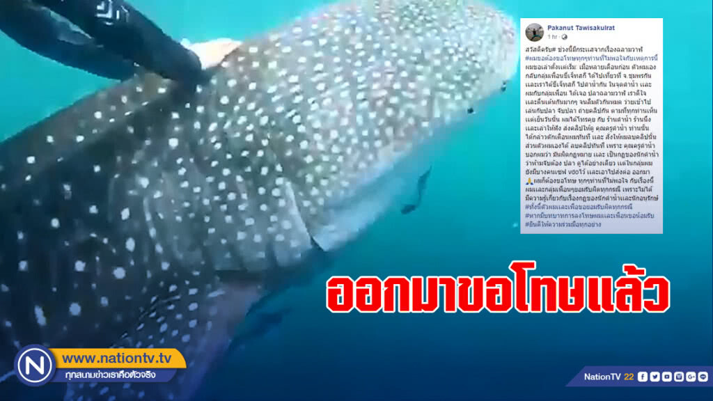 ออกมาขอโทษแล้ว!! แก๊งเจ็ตสกีขี่หลังฉลามวาฬ