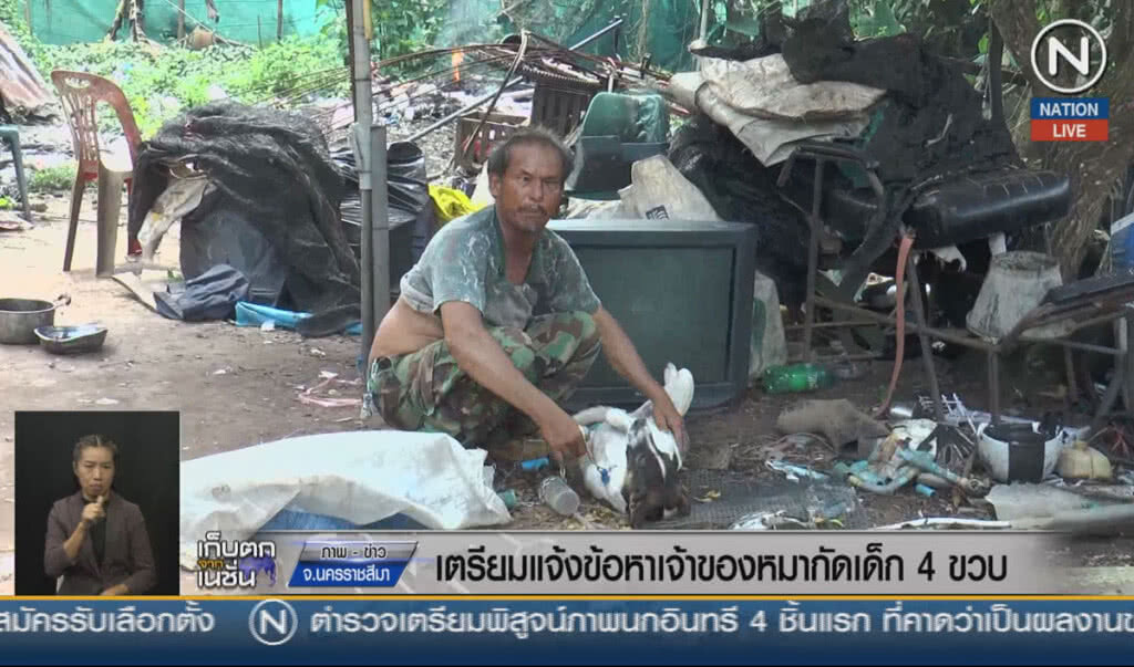 (คลิปข่าว) เตรียมแจ้งข้อหาเจ้าของหมากัดเด็ก 4 ขวบ (คลิปข่าว) เตรียมแจ้งข้อหาเจ้าของหมากัดเด็ก 4 ขวบ