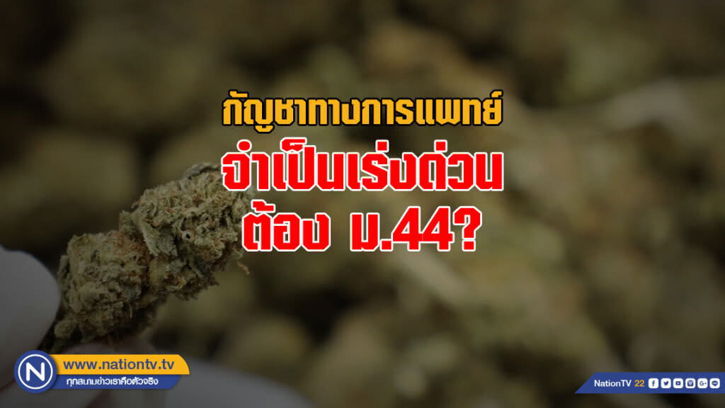 กัญชาทางการแพทย์ จำเป็นเร่งด่วน ต้องม.44?
