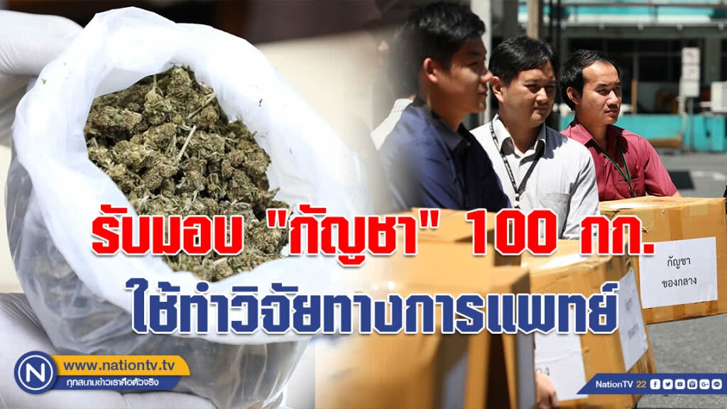องค์การเภสัชฯ รับมอบ "กัญชา" 100 กก. ใช้ทำวิจัยทางการแพทย์ องค์การเภสัชฯ รับมอบ "กัญชา" 100 กก. ใช้ทำวิจัยทางการแพทย์