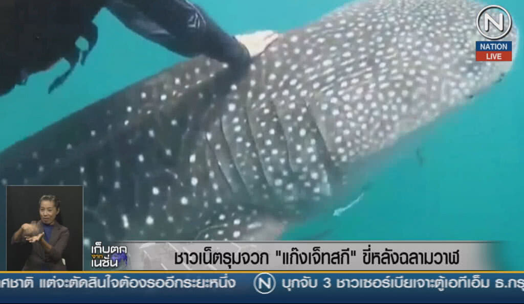 (คลิปข่าว) ชาวเน็ตรุมจวก "แก๊งเจ๊ทสกี" ขี่หลังฉลามวาฬ (คลิปข่าว) ชาวเน็ตรุมจวก "แก๊งเจ๊ทสกี" ขี่หลังฉลามวาฬ