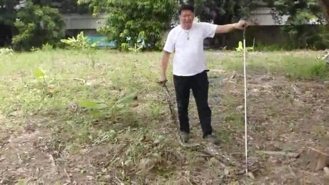 (คลิป) ถึงกับขนลุก!!! งูเหลือมขย่อนแมวออกมาทั้งตัว หลังพนักงานพบนอนท้องป่องอยู่ข้างโรงงาน
