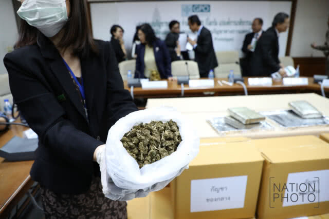 องค์การเภสัชฯ รับมอบ "กัญชา" 100 กก. ใช้ทำวิจัยทางการแพทย์