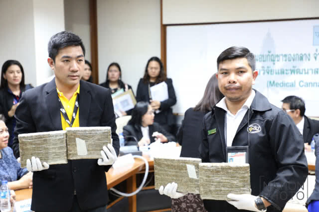 องค์การเภสัชฯ รับมอบ "กัญชา" 100 กก. ใช้ทำวิจัยทางการแพทย์