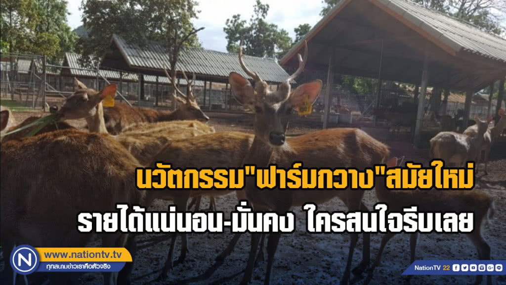ไม่ต้องลองผิดลองถูกเปิดนวัตกรรม"ฟาร์มกวาง"สมัยใหม่ งานวิจัยเพื่อเกษตรกรมีรายได้แน่นอน-มั่นคง