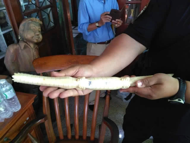 "ชุดเหยี่ยวดงบุกบ้านหรูย่านปากเกร็ด" ยึดงาช้างร่วม 40 กก.พร้อมไม้หวงห้ามกว่า 20ท่อน