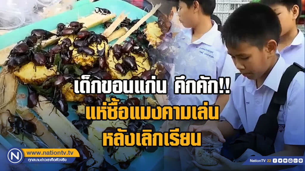เด็กขอนแก่น คึกคัก!! แห่ซื้อแมงคามเล่นหลังเลิกเรียน
