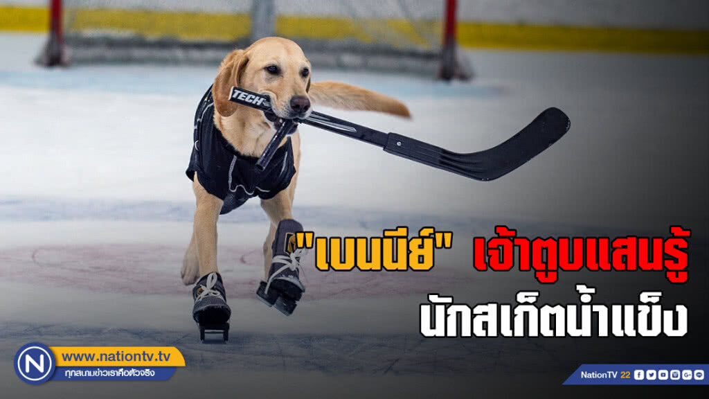 "เบนนีย์" เจ้าตูบนักสเก็ตน้ำแข็งสุดน่ารัก "เบนนีย์" เจ้าตูบนักสเก็ตน้ำแข็งสุดน่ารัก