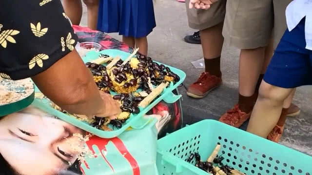 เด็กขอนแก่น คึกคัก!! แห่ซื้อแมงคามเล่นหลังเลิกเรียน