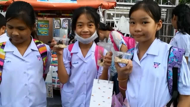 เด็กขอนแก่น คึกคัก!! แห่ซื้อแมงคามเล่นหลังเลิกเรียน