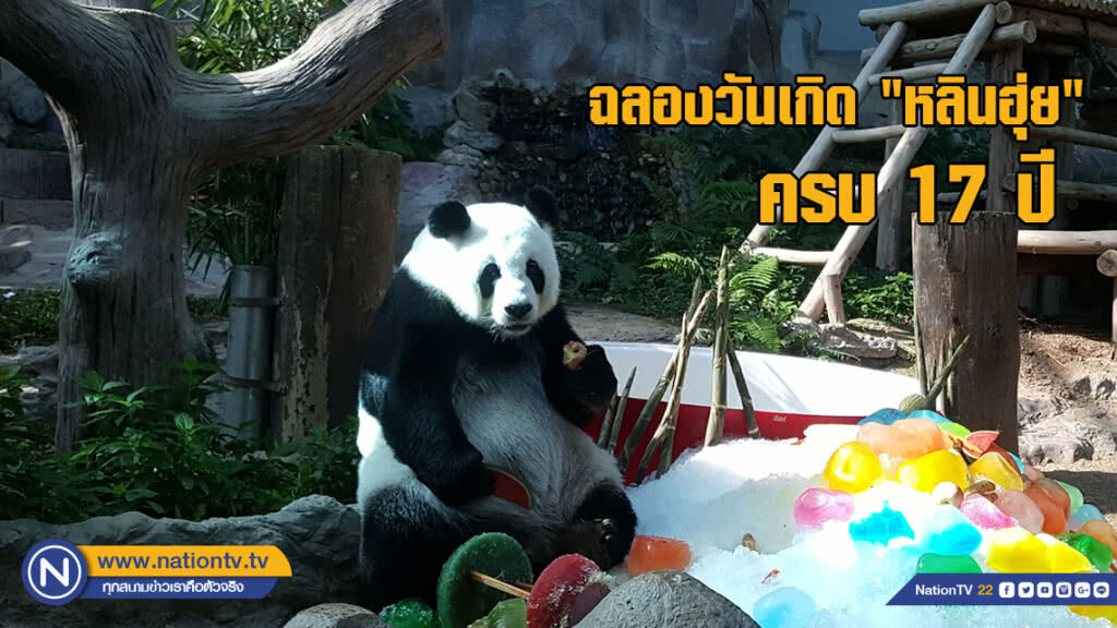 ฉลองวันเกิด "หลินฮุ่ย" ครบ 17 ปี - แฟนคลับญี่ปุ่นหอบตระกร้าอวยพร