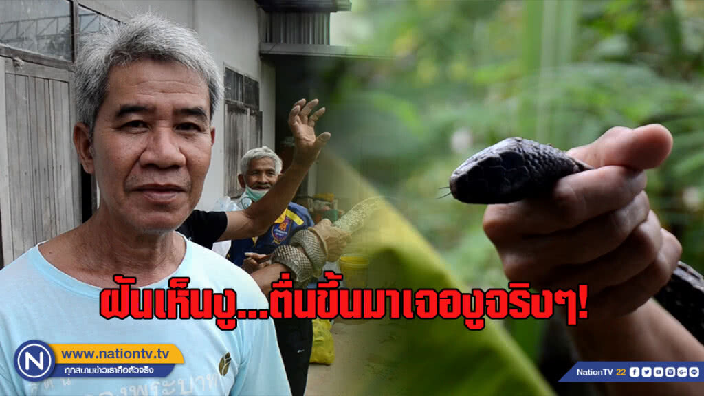 หนุ่มใหญ่ฝันเห็นงู 2 ตัวพันกันตื่นไปตัดใบตองเจองู 2 ตัวเหมือนฝัน หนุ่มใหญ่ฝันเห็นงู 2 ตัวพันกันตื่นไปตัดใบตองเจองู 2 ตัวเหมือนฝัน