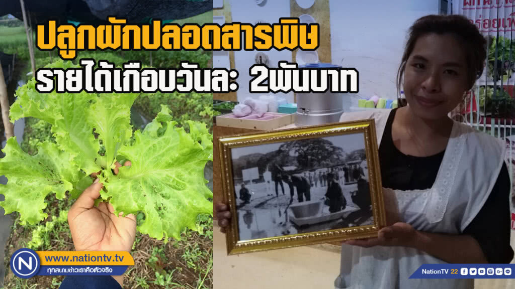 อดีตผู้ช่วยทันตแพทย์ ปลูกผักปลอดสารพิษ-ทำขายเมี่ยงปลาสดขายได้วันละเกือบ2พันบาท