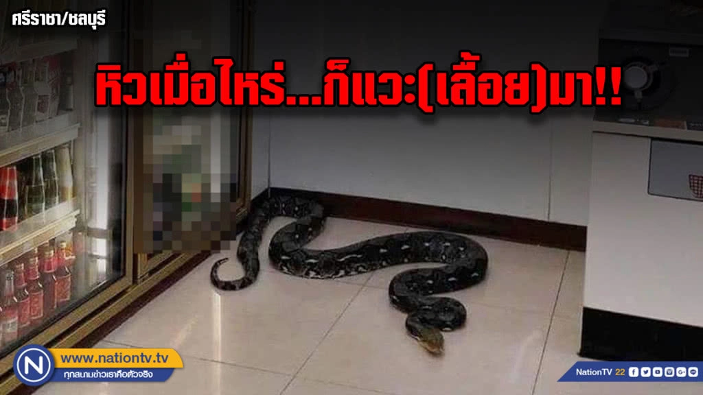 พนักงานเซเว่นฯ ลมแทบจับ...เจองูเหลือมยาว 4 เมตรอยู่ในร้าน พนักงานเซเว่นฯ ลมแทบจับ...เจองูเหลือมยาว 4 เมตรอยู่ในร้าน