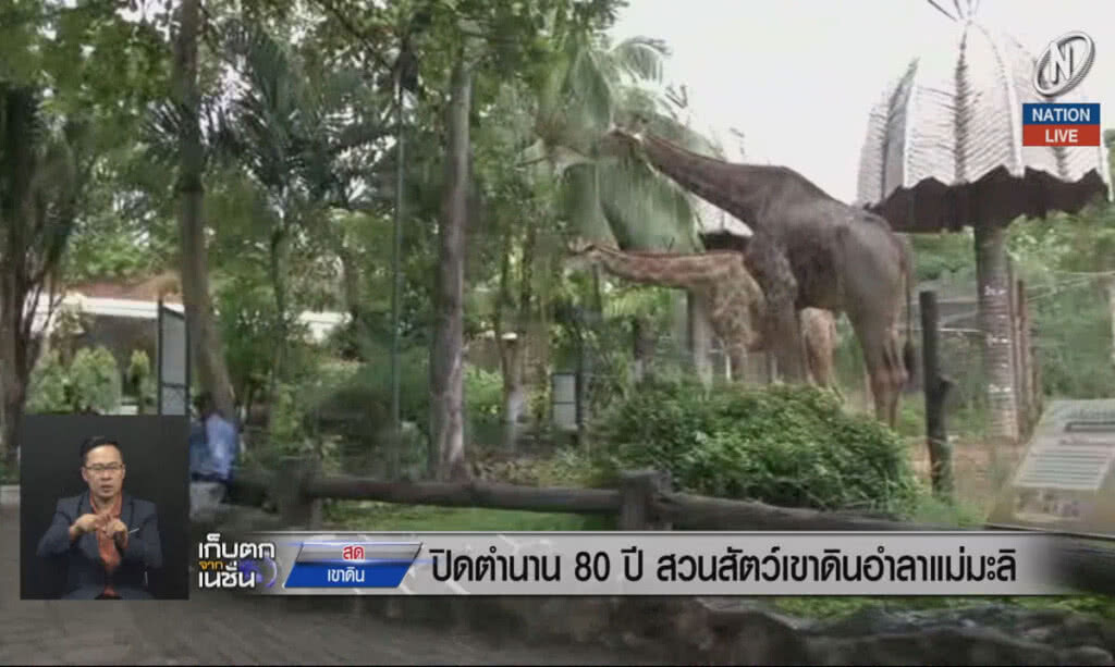 (คลิปข่าว) ปิดตำนาน 80 ปีสวนสัตว์เขาดิน อำลาแม่มะลิ (คลิปข่าว) ปิดตำนาน 80 ปีสวนสัตว์เขาดิน อำลาแม่มะลิ