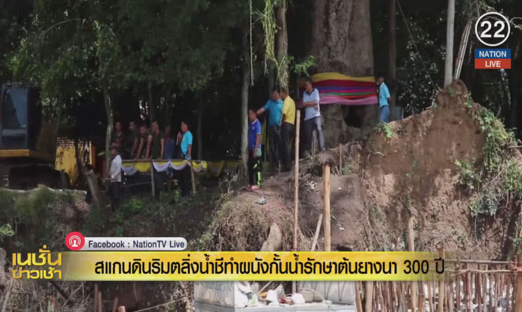 (คลิปข่าว) สแกนดินริมตลิ่ง ป้องกันการโค่นล้มต้นยางนา 300 ปี (คลิปข่าว) สแกนดินริมตลิ่ง ป้องกันการโค่นล้มต้นยางนา 300 ปี