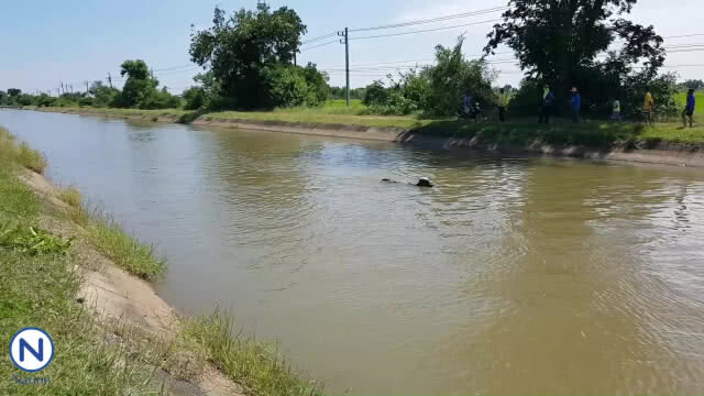 (คลิป) ชาวบ้านร่วมแรงช่วยวัวตกคลองชลประทาน