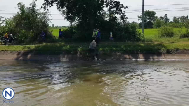 (คลิป) ชาวบ้านร่วมแรงช่วยวัวตกคลองชลประทาน